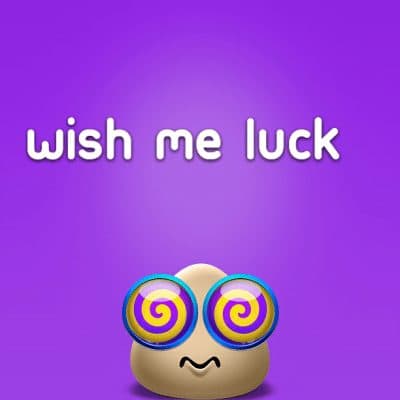 Wish me luck