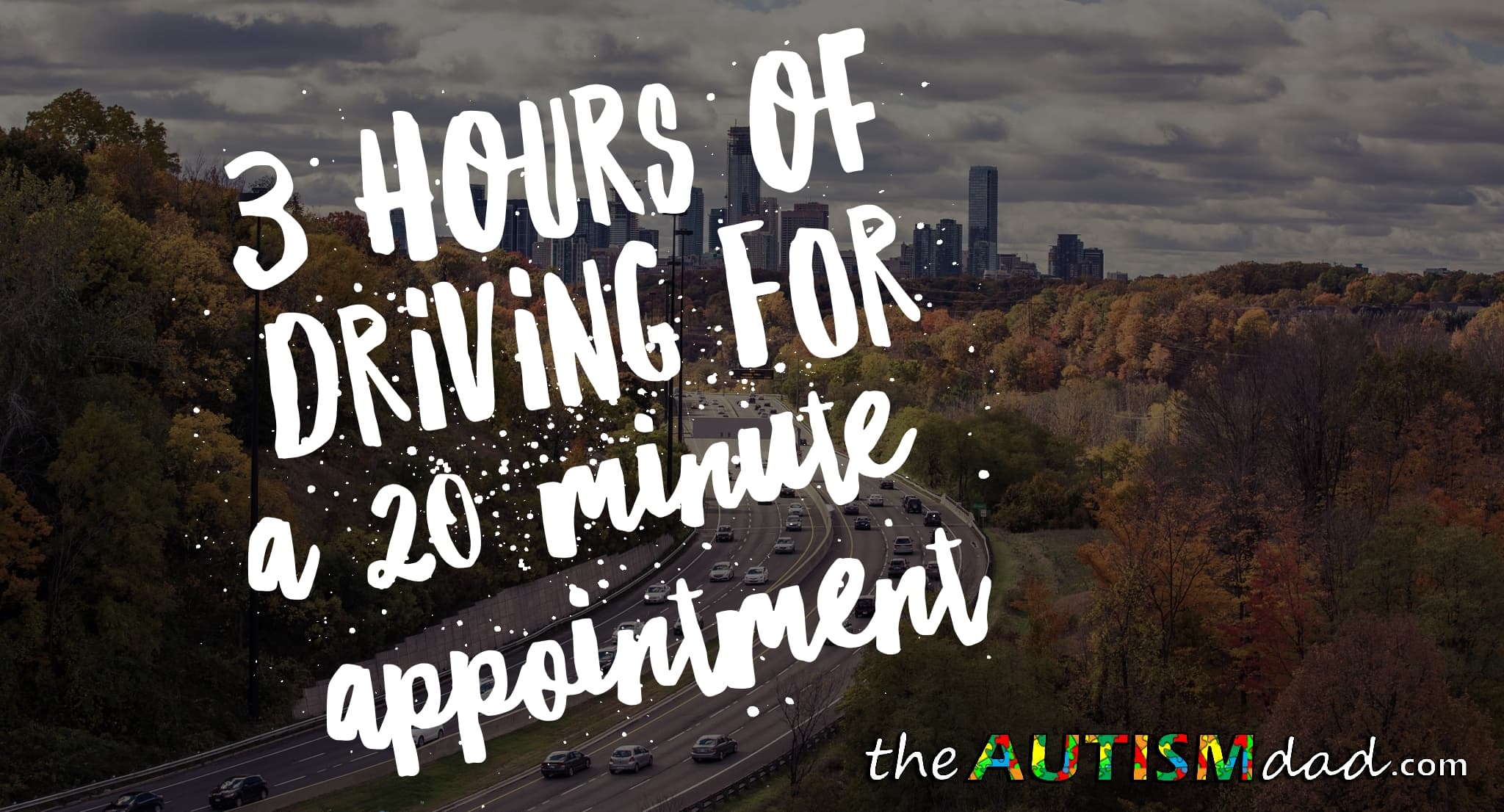 3 hours of driving for a 20 minute appointment