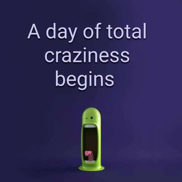 A day of total craziness begins