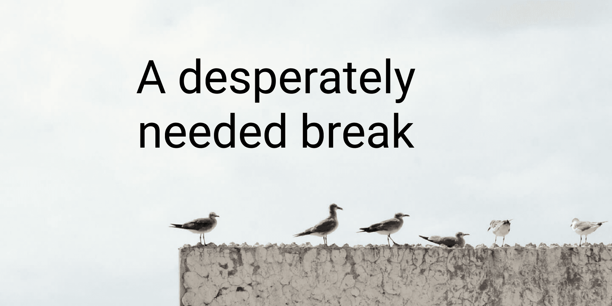 A desperately needed break