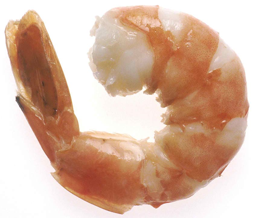 Adding seafood to the allergy list??