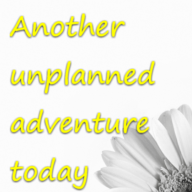 Another unplanned adventure today