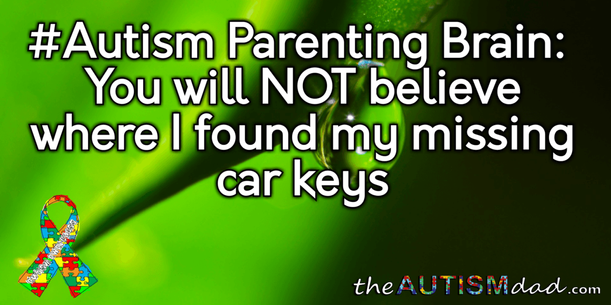 #Autism Parenting Brain: You will NOT believe where I found my missing car keys