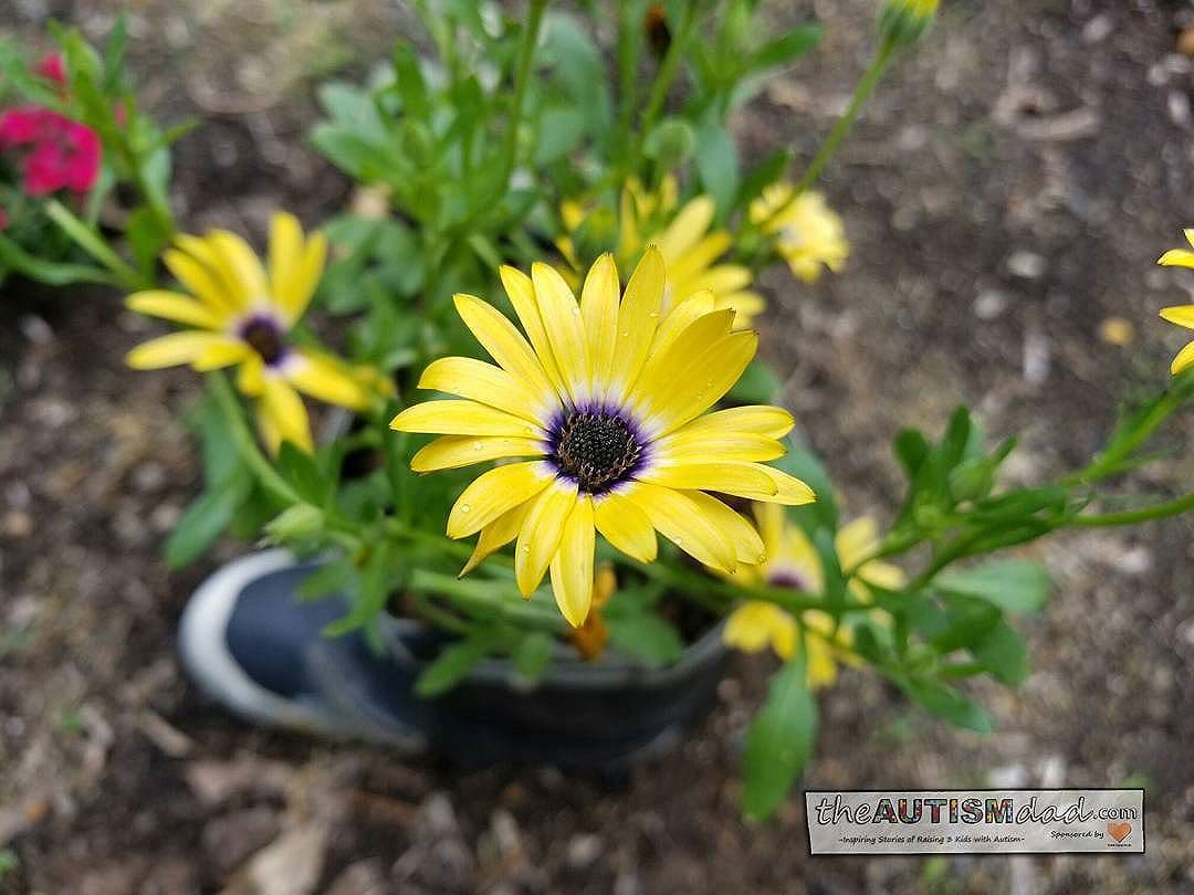 Beautiful flower in a fire fighters boot is amazing