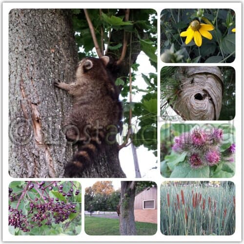 Check out what we saw today