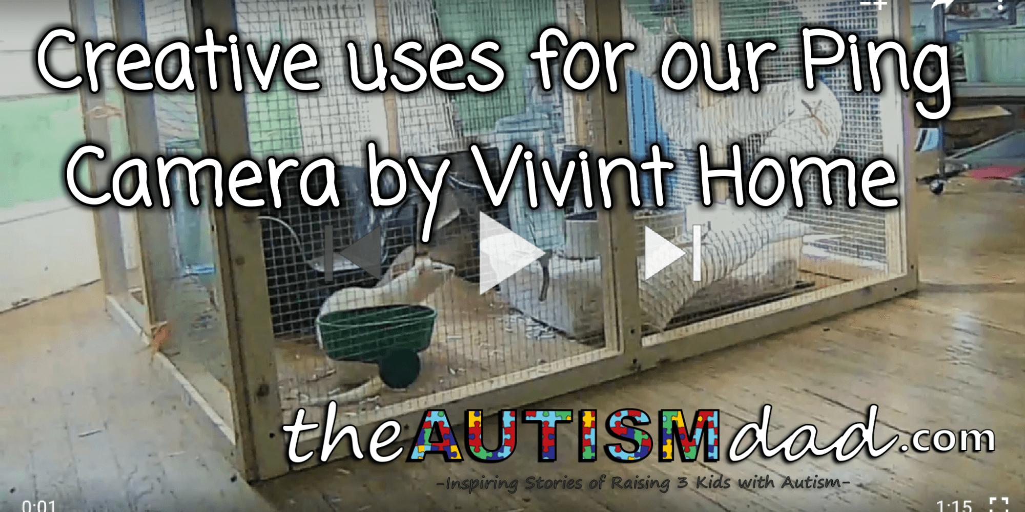 Creative uses for our Ping Camera by @VivintHome