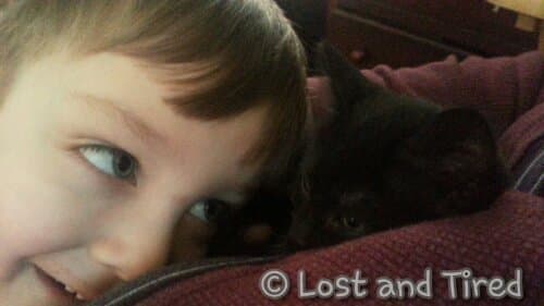 Cutest picture ever