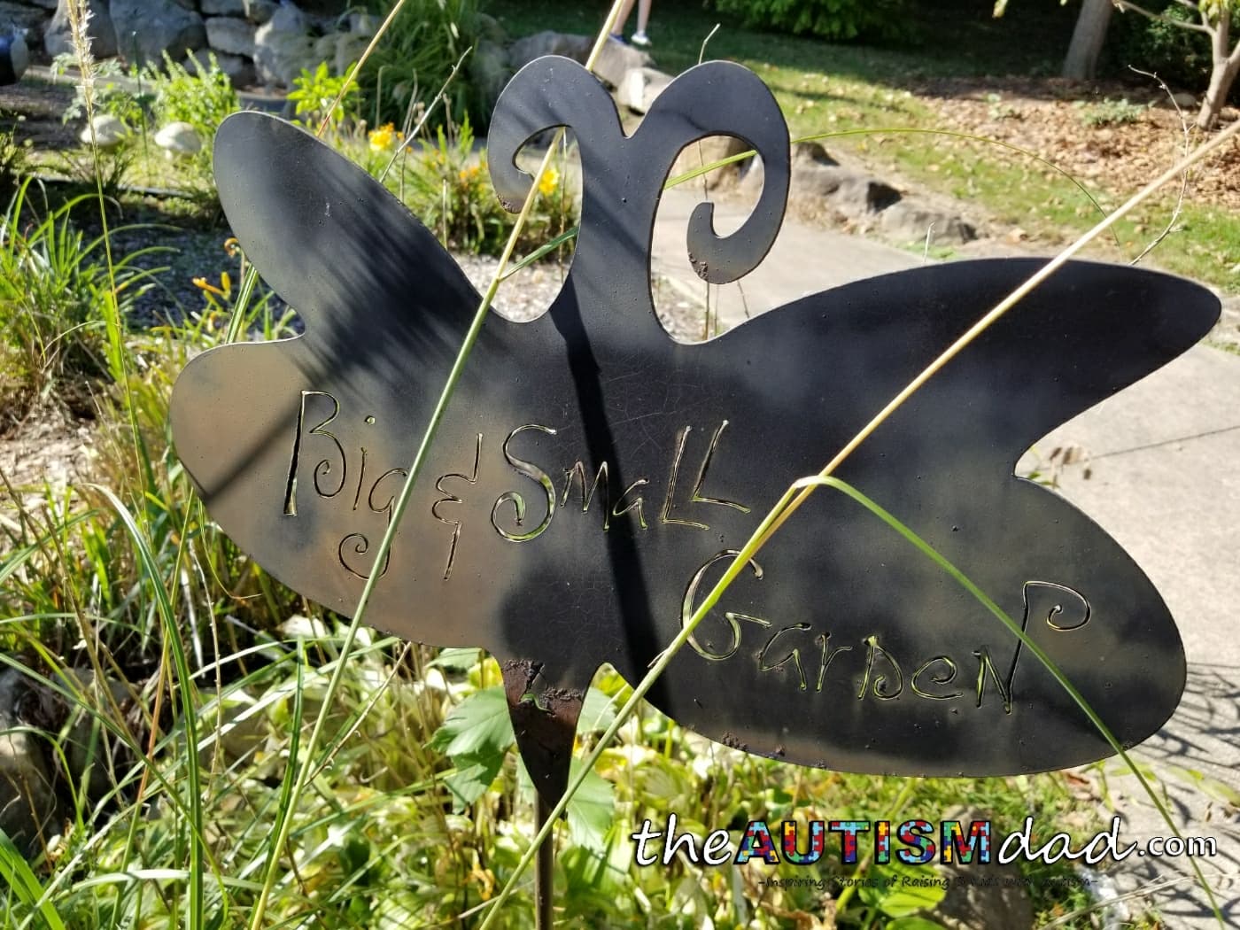 Fall at the Canton Garden Center 10/14/2014 (Gallery)