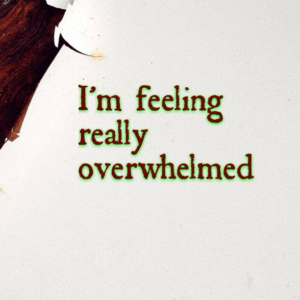 Feeling pretty overwhelmed today