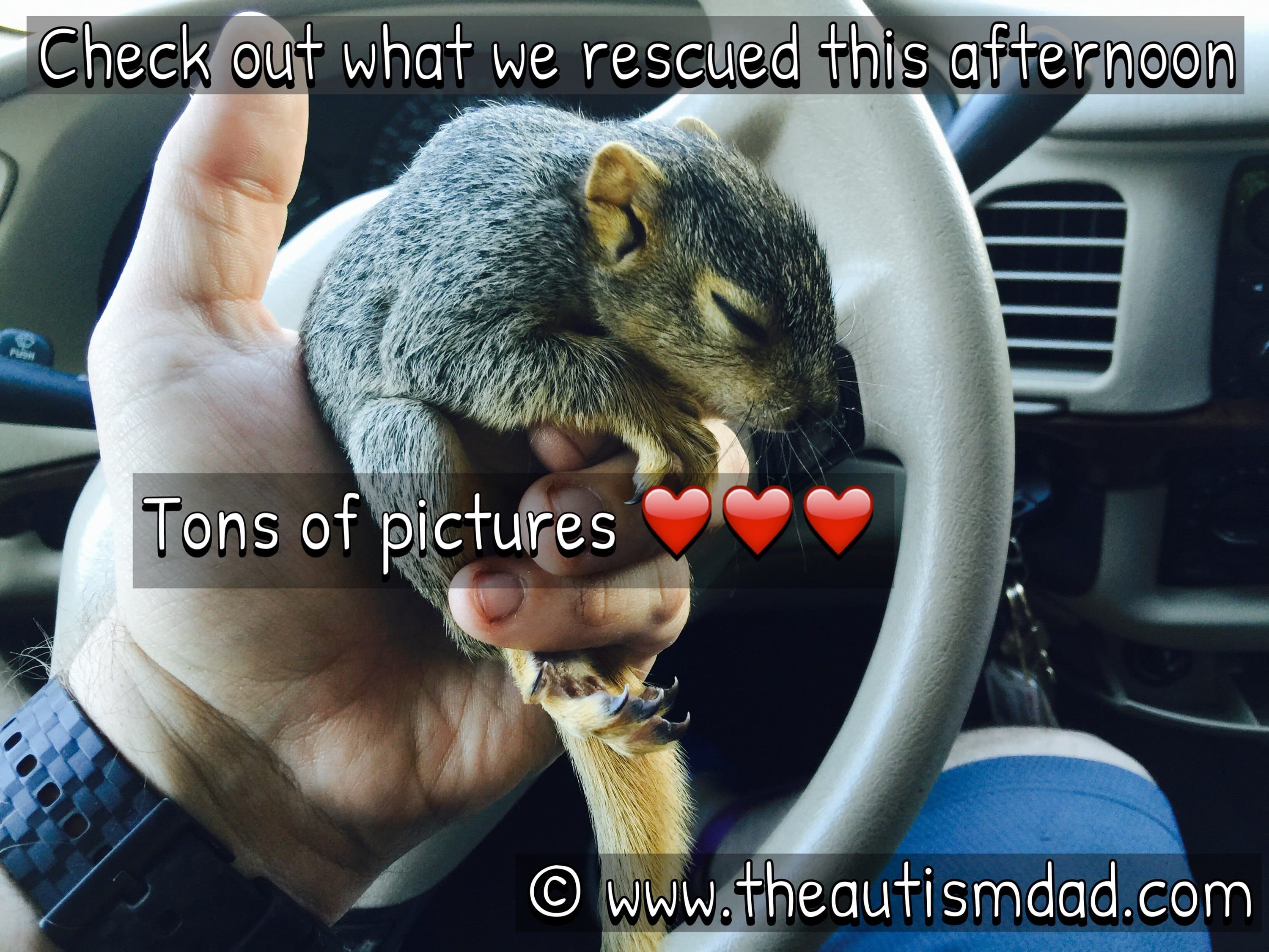 Gavin and I just rescued two beautiful baby squirrels :)