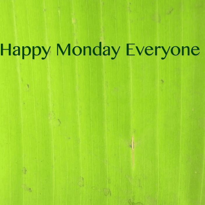 Happy Monday Everyone