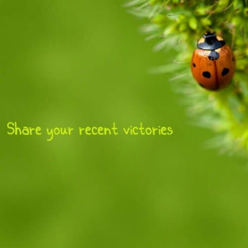 Have you celebrated any recent victories?