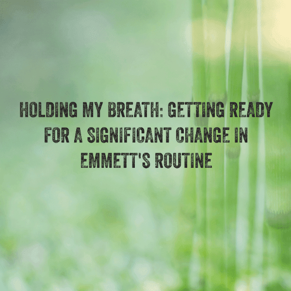 Holding My Breath: Getting ready for a significant change in Emmett's routine