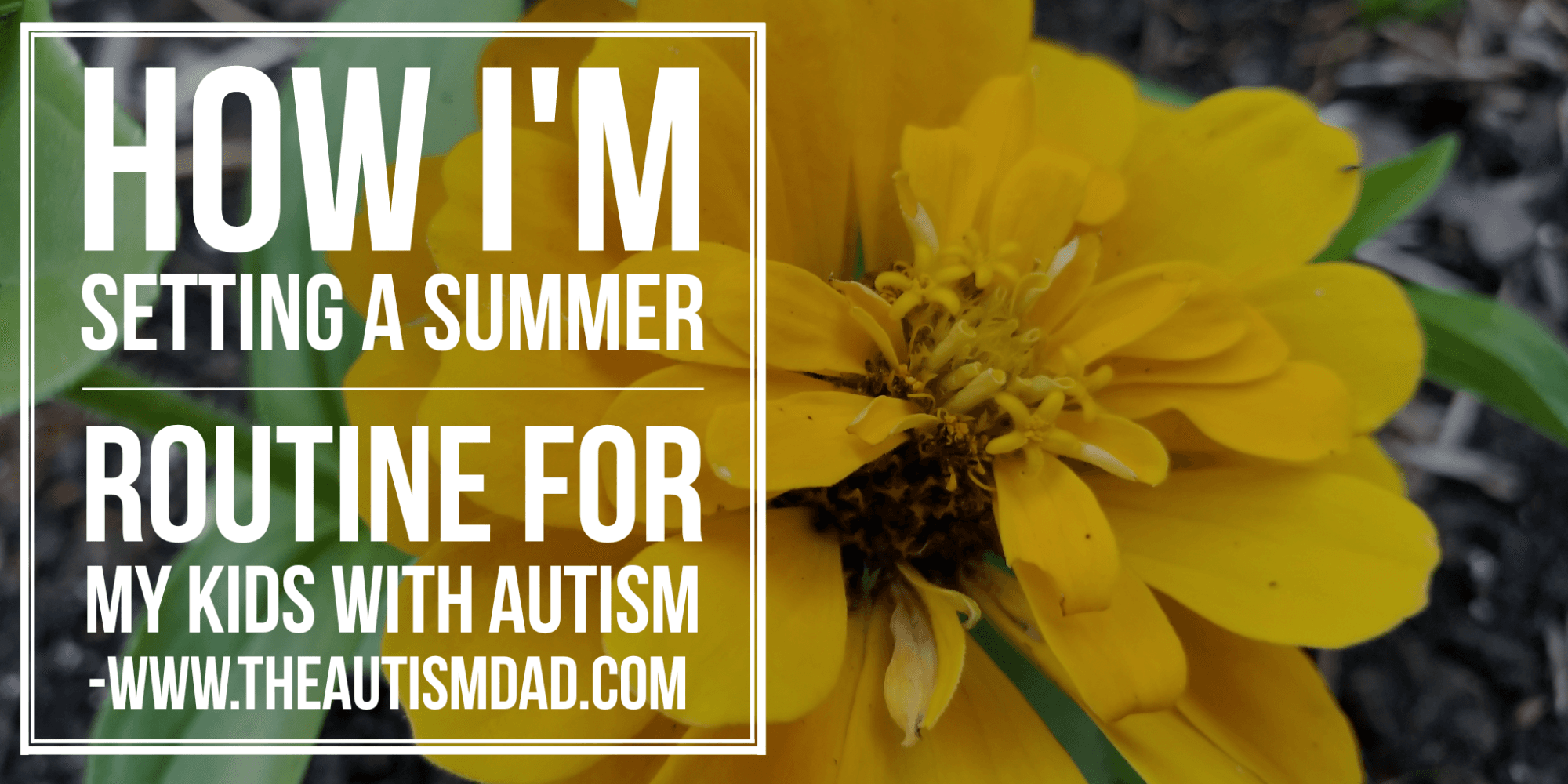 How I'm setting a summer routine for my kids with #Autism