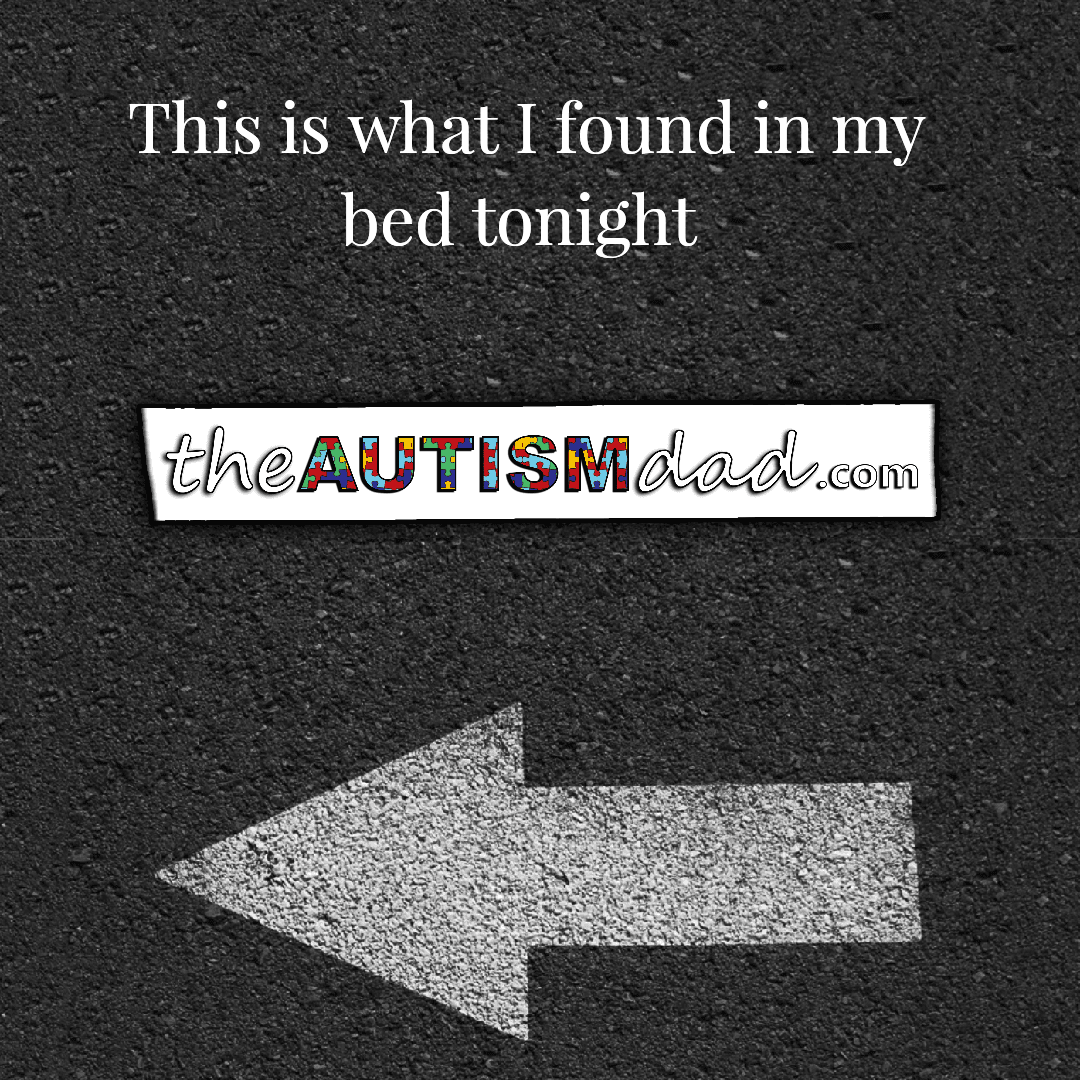 I found this tonight when I went to climb into my bed