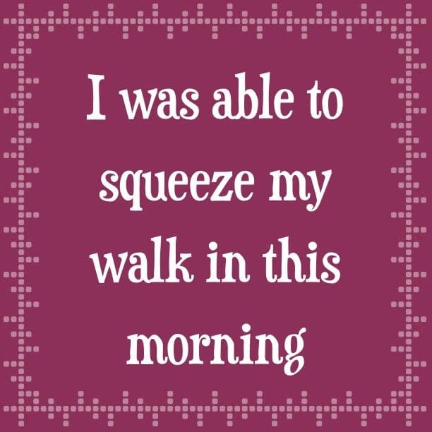 I was able to squeeze my walk in this morning