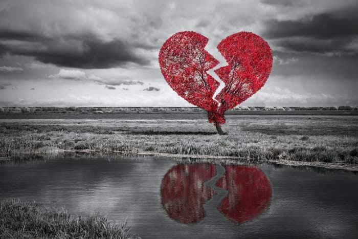 I'm heartbroken because my kids are hurting