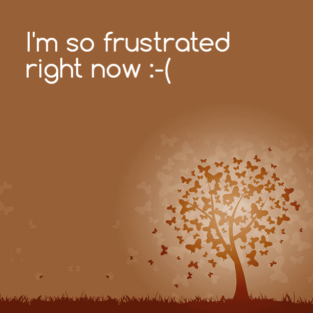 I'm so incredibly frustrated right now
