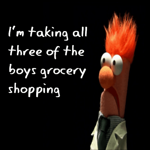 I'm taking all three of the boys grocery shopping