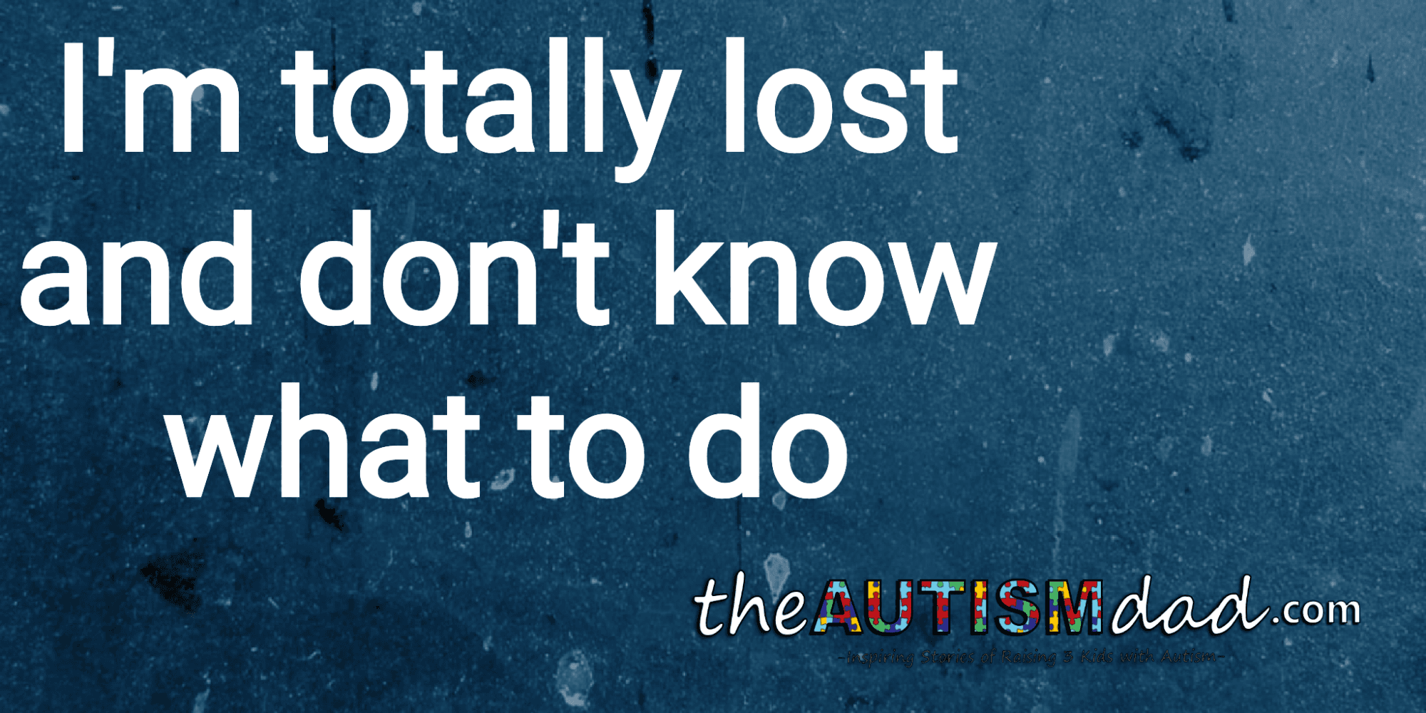 I'm totally lost and don't know what to do