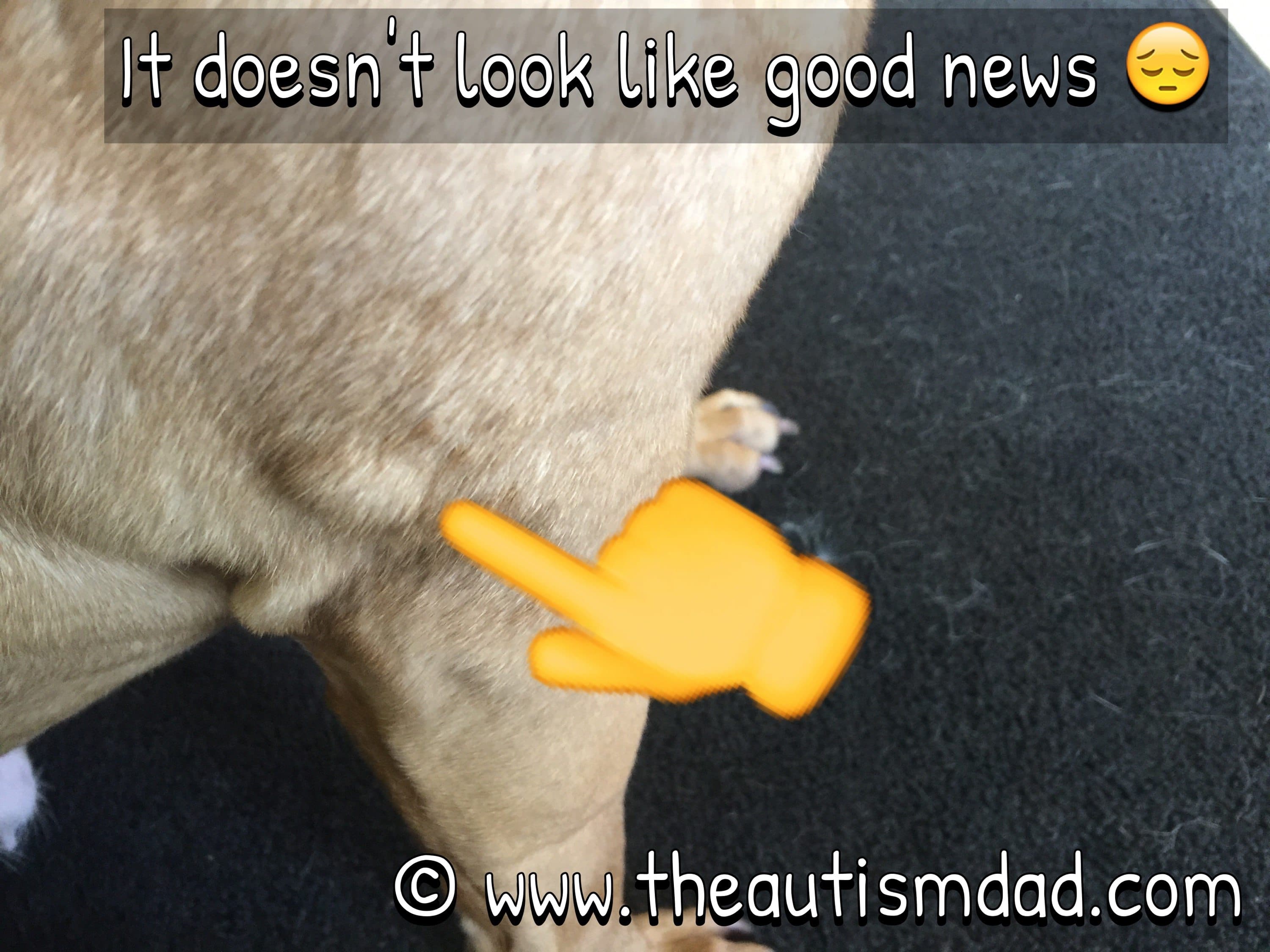 It doesn't look like good news