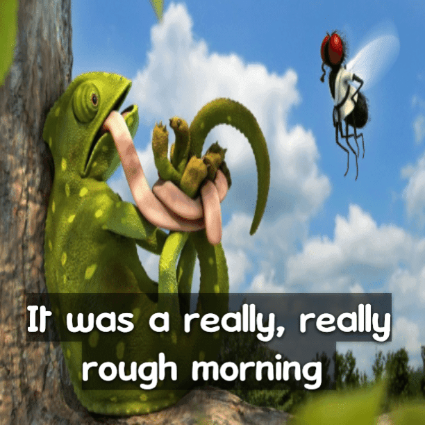 It was a really, really rough morning