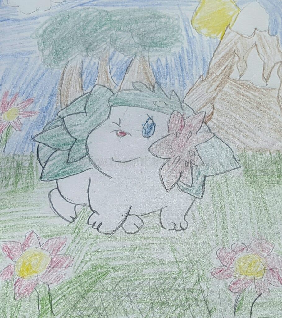 My teen with #Autism shares 10 pictures he's sketched (Series 2)