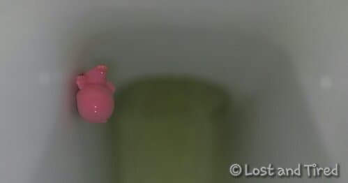 Our night went straight down the toilet