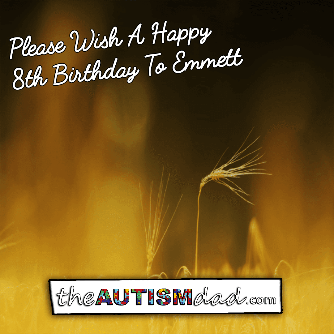 Please Wish A Happy 8th Birthday To Emmett