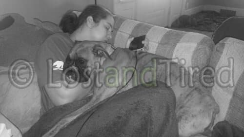 Puppy Love