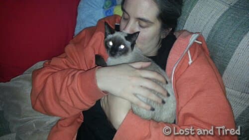 Sammy has a new home :-)