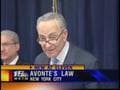Schumer Proposes 'Avonte's Law'