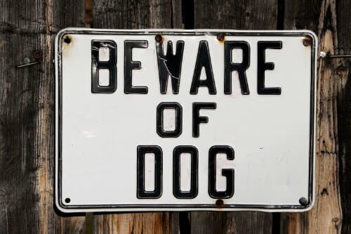 Second dog attack this week in our neighborhood
