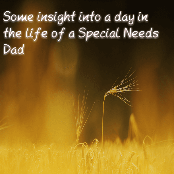 Some insight into a day in the life of a Special Needs Dad