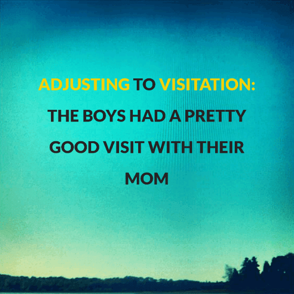 The boys had a pretty good visit with their Mom