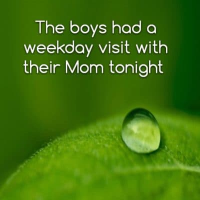 The boys had a weekday visit with their Mom tonight