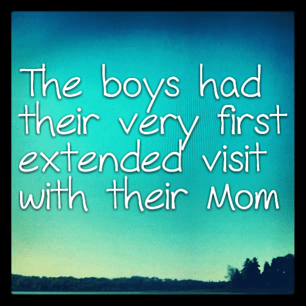 The boys had their very first extended visit with their Mom