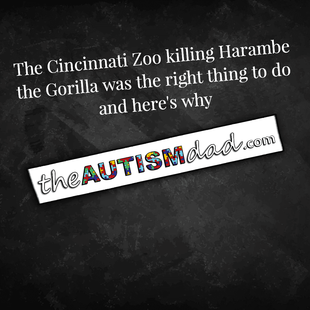 The Cincinnati Zoo killing Harambe the Gorilla was the right thing to do and here's why