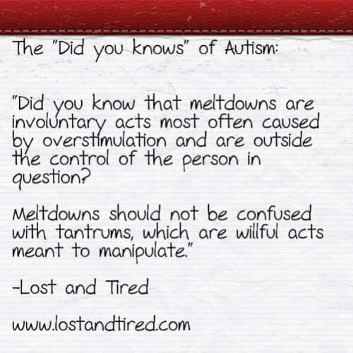 The "Did you knows" of #Autism: Meltdowns vs Tantrums