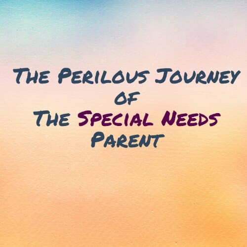 The Perilous Journey of The Special Needs Parent
