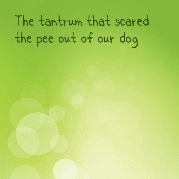 The tantrum that scared the pee out of our dog