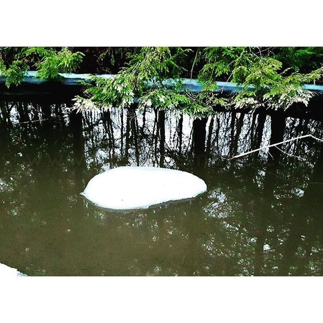 @The_Autism_Dad Photo of The Day: Mini Melting Iceberg Floating Down The Creek