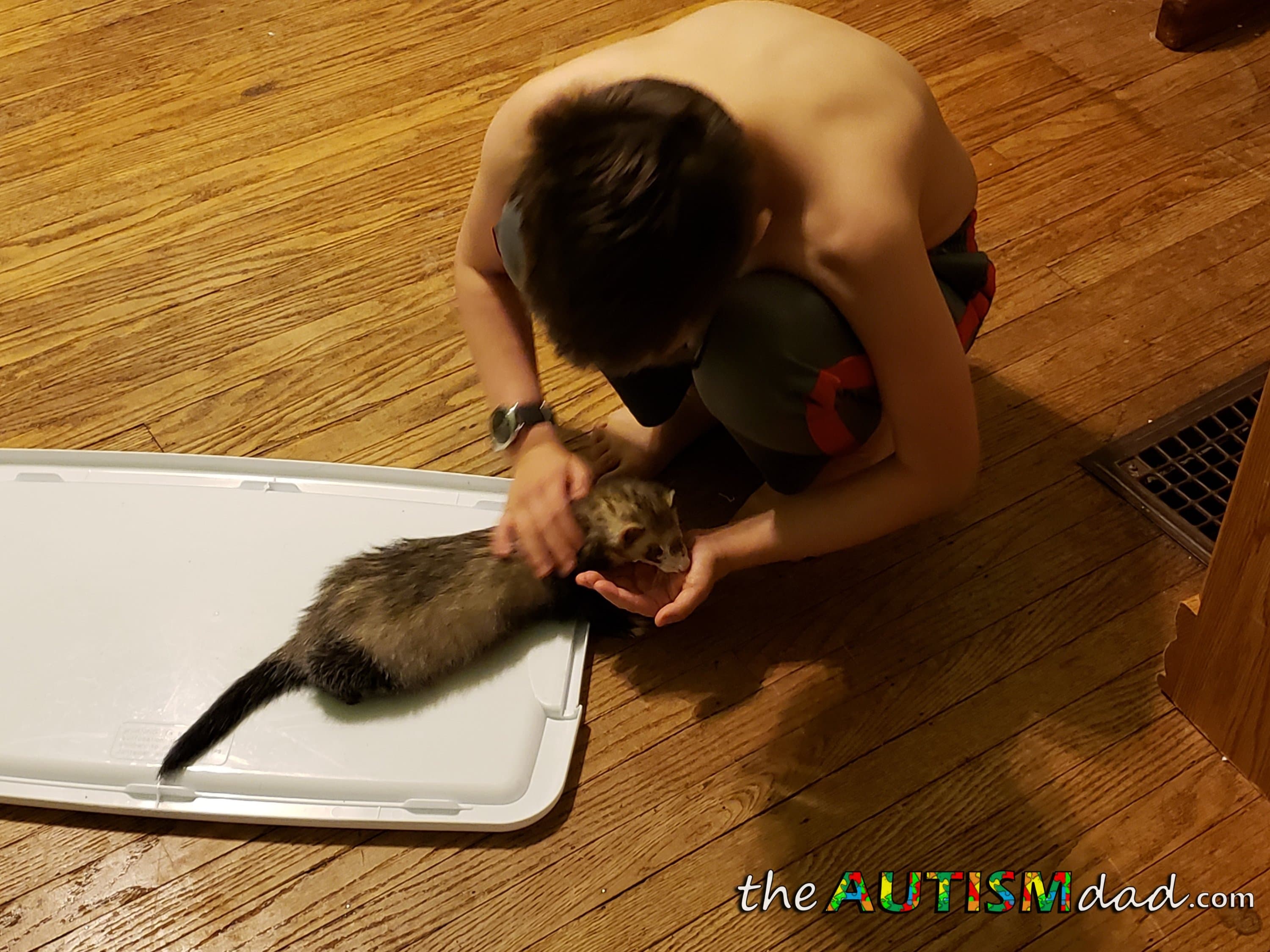 Today's #Autism parenting journey in pictures