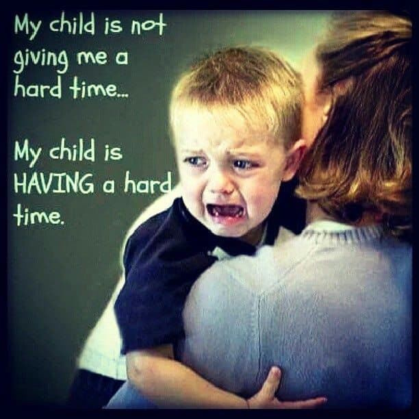 Today's #Autism Quote of The Day: The Truth About Meltdowns