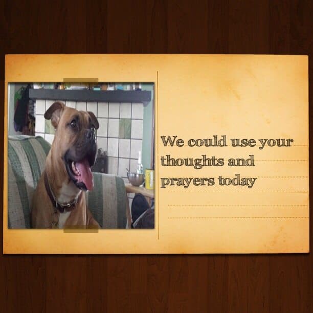 We could use your thoughts and prayers today