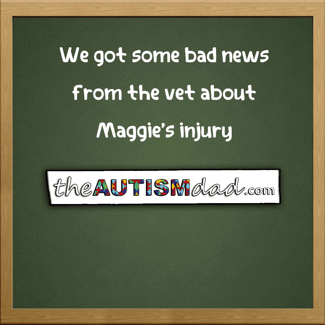 We got some bad news from the vet about Maggie's injury