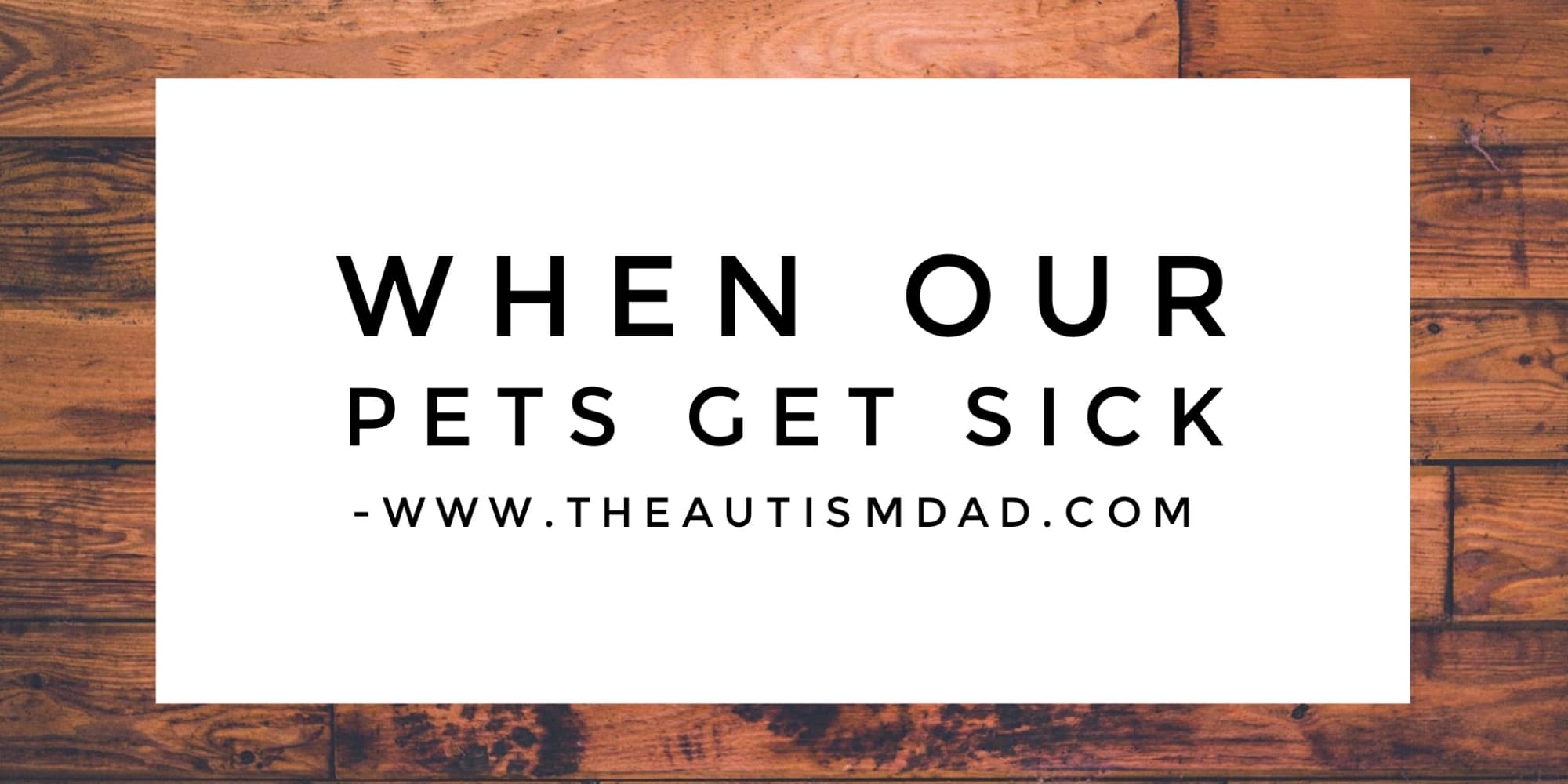 When our pets get sick