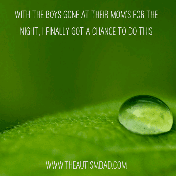 With the boys gone at their Mom's for the night, I finally got a chance to do this
