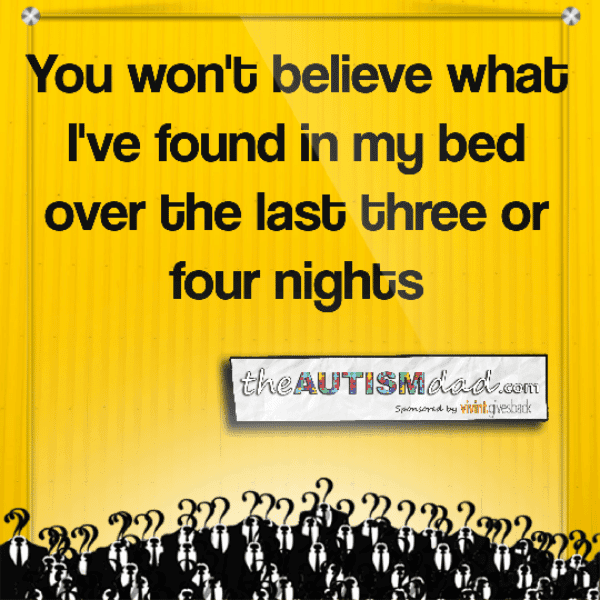 You won't believe what I've found in my bed over the last three or four nights