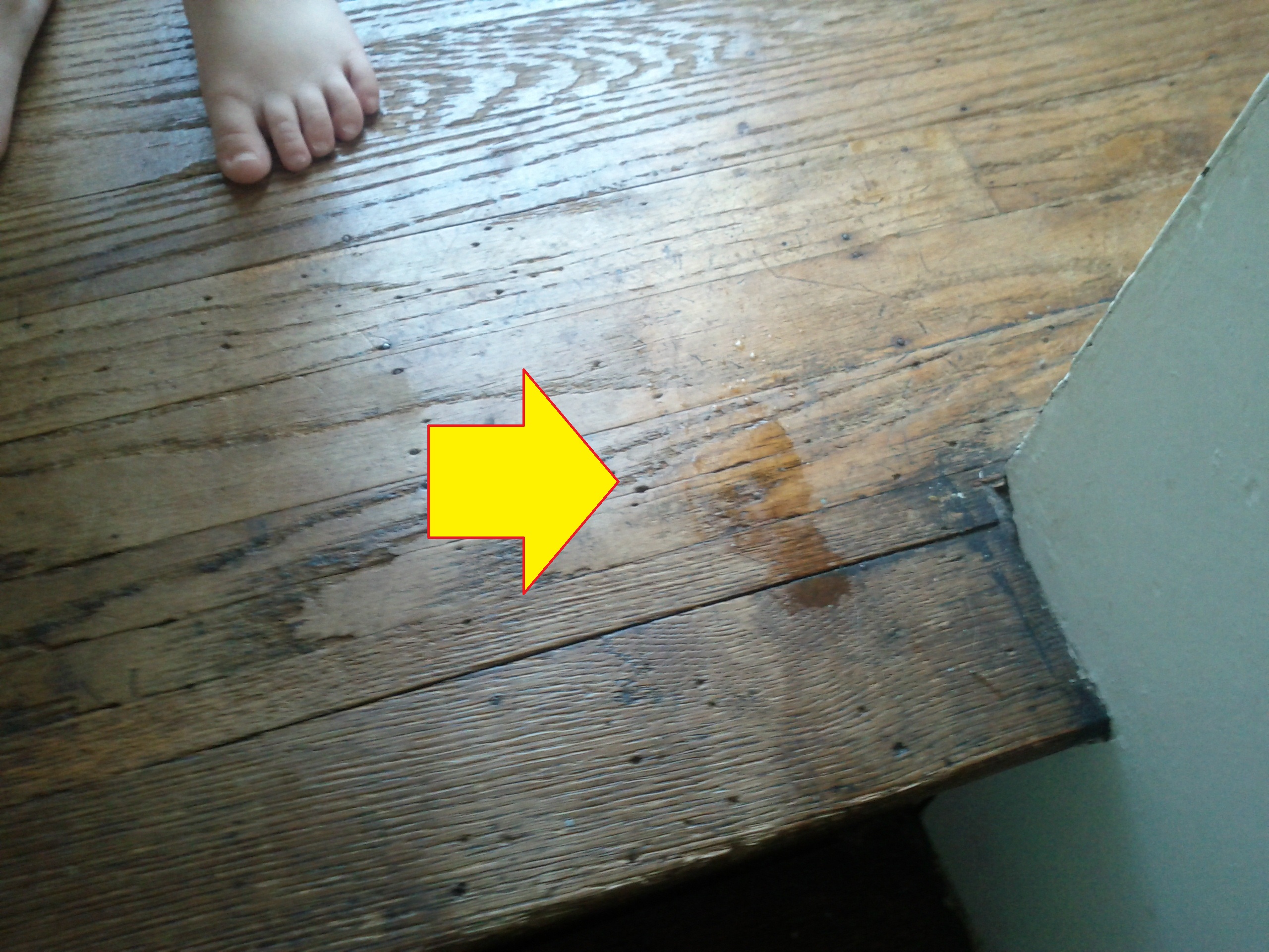 Read more about the article Autism’s “quirks”